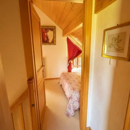 Les 2 Bouleaux A 2 Pas De Gerardmer Et Des Lacs Feriehus Xonrupt-Longemer