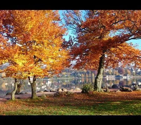 Les 2 Bouleaux A 2 Pas De Gerardmer Et Des Lacs *