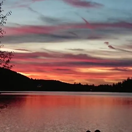 Feriehus Les 2 Bouleaux A 2 Pas De Gerardmer Et Des Lacs