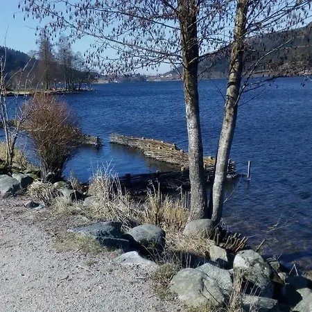 Feriehus Les 2 Bouleaux A 2 Pas De Gerardmer Et Des Lacs *