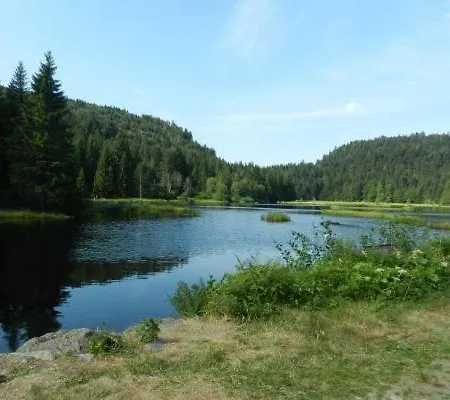 Les 2 Bouleaux A 2 Pas De Gerardmer Et Des Lacs بيت للعطل