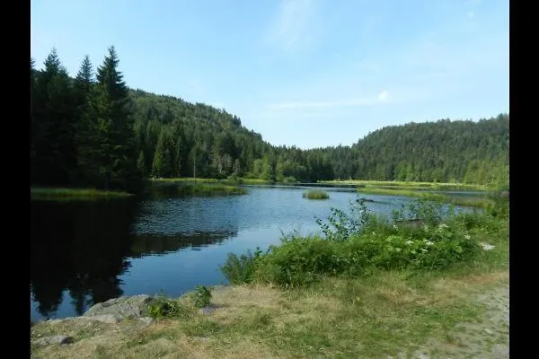 Les 2 Bouleaux A 2 Pas De Gerardmer Et Des Lacs *