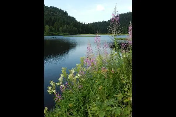 Prázdninový dům Les 2 Bouleaux A 2 Pas De Gerardmer Et Des Lacs *