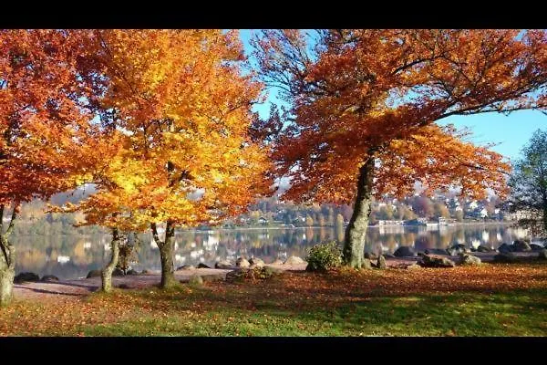 Les 2 Bouleaux A 2 Pas De Gerardmer Et Des Lacs *
