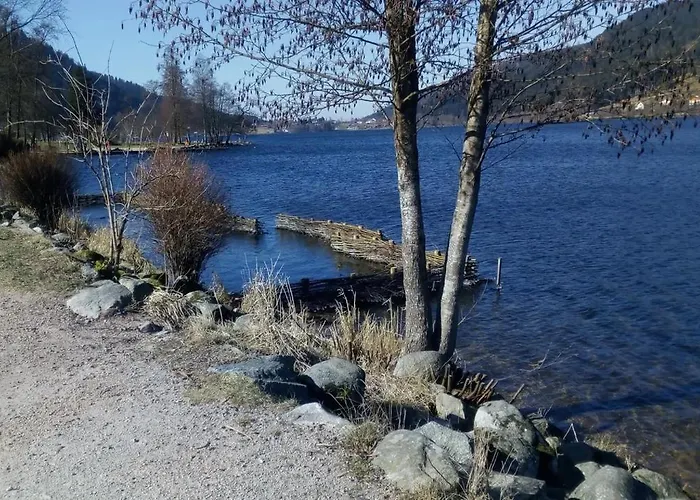 Prázdninový dům Les 2 Bouleaux A 2 Pas De Gerardmer Et Des Lacs *